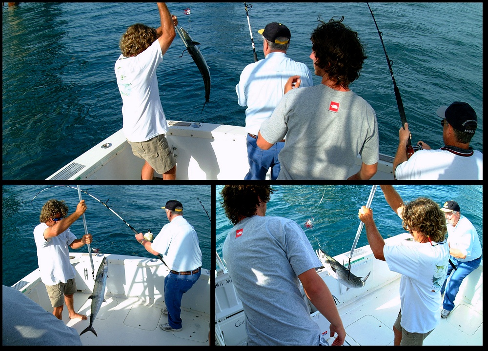 (12) montage (rig fishing).jpg   (1000x720)   385 Kb                                    Click to display next picture